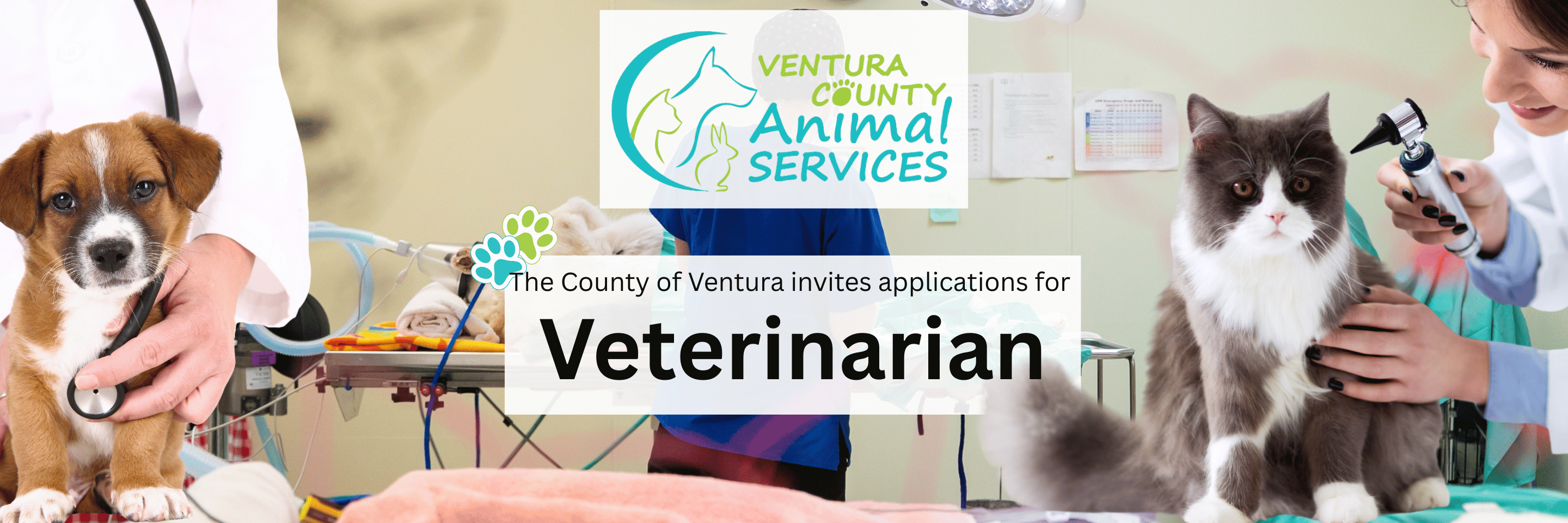 About Ventura County Animal Services (VCAS)